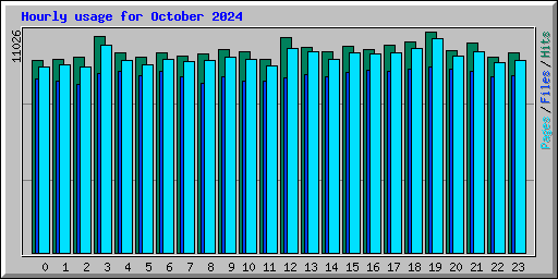 Hourly usage for October 2024