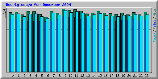 Hourly usage for December 2024