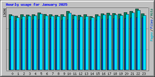 Hourly usage for January 2025
