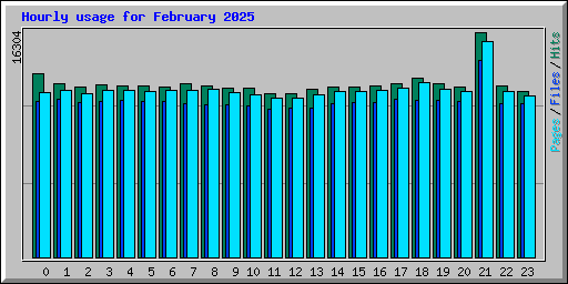 Hourly usage for February 2025