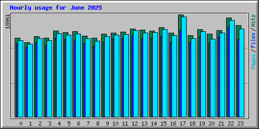 Hourly usage for June 2025