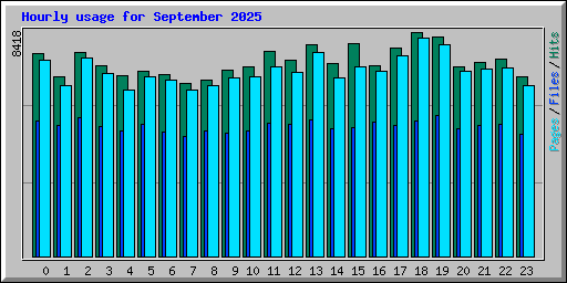 Hourly usage for September 2025
