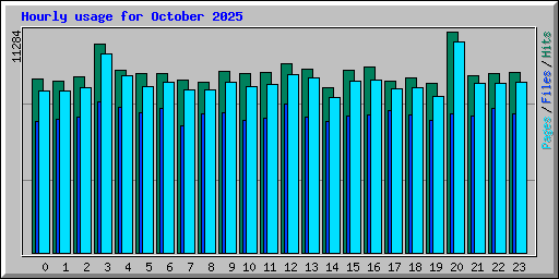 Hourly usage for October 2025