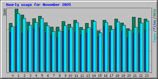 Hourly usage for November 2025
